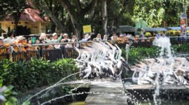 Warga berkunjung ke Taman Margasatwa Ragunan, destinasi wisata favorit Jakarta yang diwacanakan buka hingga malam hari. (Dok-HUmas DKI Jkt)