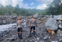 Tim K9 SAR Polri bersama Polda NTT melakukan pencarian korban bencana di Nagakeo.Dok-Polri
