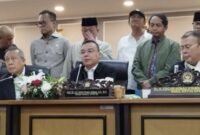 Wakil Ketua DPR, Sufmi Dasco Ahmad. Dok: Istimewa