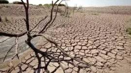 Ilustrasi kondisi lahan kering saat musim kemarau di wilayah Jawa Barat. (Posnews/Ist)