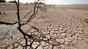 Ilustrasi, Indonesia Masuk Ancaman El Nino, BMKG Prediksi Kemarau Ekstrem.
(Posnews/Ist)