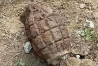 Ilustrasi, Granat Nanas. Dok: Istimewa