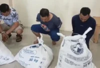 Polisi menggiring sopir Bank Jateng cabang Wonogiri yang membawa kabur Rp10 miliar setelah ditangkap di Gunungkidul, Senin (8/9/2025). Dok-Istimewa