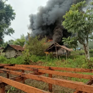 KKB Yahukimo kembali berulah di Asmat, Papua Selatan