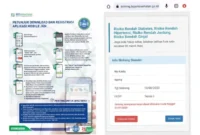Ilustrasi peserta BPJS Kesehatan melakukan skrining riwayat kesehatan melalui aplikasi Mobile JKN. Dok-BPJS