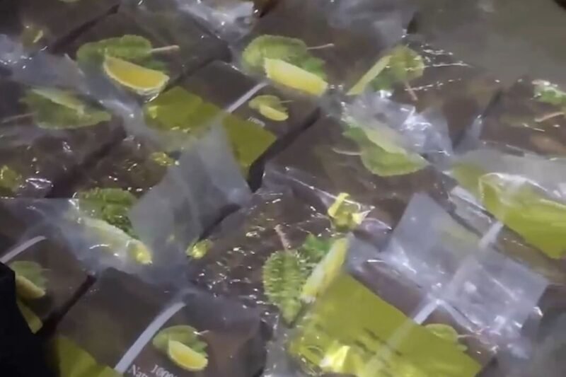 Polisi amankan barang bukti 24,6 kilogram sabu di Pluit, Jakarta Utara. Dok: PMJ
