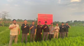 Aset eks Direktur Utama PT Sritex, Iwan Setiawan Lukminto diamankan Kejagung. Dok: Istimewa