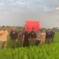 Aset eks Direktur Utama PT Sritex, Iwan Setiawan Lukminto diamankan Kejagung. Dok: Istimewa