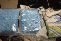 BNN Sita Ratusan Butir Ekstasi dan Ratusan Cartridge Vape. Dok: Istimewa