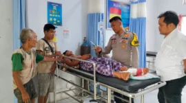 Warga Inhu bernama Butet selamat setelah diserang tiga ekor harimau di hutan Sungai Balam, Riau. Dok: Istimewa