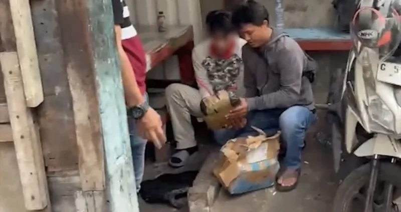 Polisi dari Ditresnarkoba Polda Metro Jaya memperlihatkan barang bukti ganja seberat 2,1 kilogram hasil penangkapan pengedar di Jembatan Besi, Tambora, Jakarta Barat. Dok: Istimewa