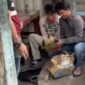 Polisi dari Ditresnarkoba Polda Metro Jaya memperlihatkan barang bukti ganja seberat 2,1 kilogram hasil penangkapan pengedar di Jembatan Besi, Tambora, Jakarta Barat. Dok: Istimewa