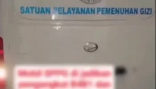 Mobil berlogo BGN kedapatan mengangkut babi dan ayam, viral di media sosial, BGN bantah kepemilikan dan lapor polisi. (Ist)