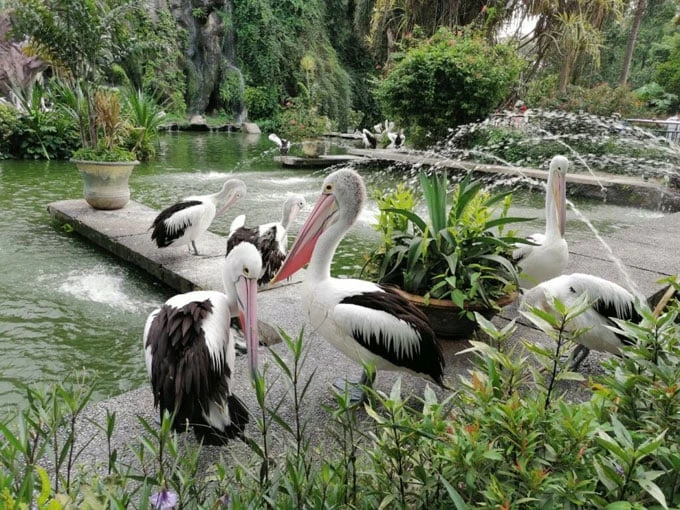 Wisata Taman Margasatwa Ragunan (TMR). Dok: Istimewa