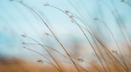 Ilustrasi, Saat pikiran Anda berlari liar di malam hari, filsafat kuno dari Yunani dan Roma menawarkan jangkar yang kuat untuk menemukan ketenangan. Dok: Istimewa.