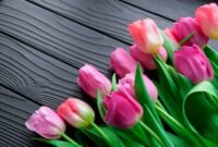 Ilustrasi, Bagaimana satu umbi bunga tulip di Belanda abad ke-17 bisa memicu salah satu gelembung ekonomi paling gila dalam sejarah. Dok: Istimewa.