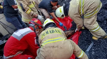 Ilustrasi, Petugas mengevakuasi jasad korban kebakaran. (Posnews)