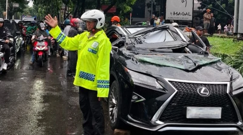 Petugas mengevakuasi mobil Lexus yang tertimpa pohon tumbang di Jalan Metro Pondok Indah, Jakarta Selatan. Dok: TMC PMJ
