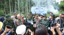 BNN musnahkan 69 ton ganja hasil penggerebekan di Aceh Utara. (BNN)