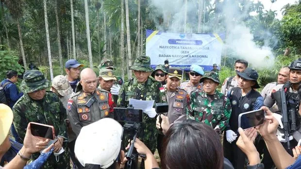 BNN musnahkan 69 ton ganja hasil penggerebekan di Aceh Utara. (BNN)