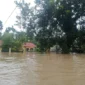 Rumah warga di Aceh terendam banjir setelah hujan deras mengguyur sejak akhir pekan. (Posnews/BPBA)