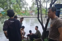 Polisi Bhabinkamtibmas Aipda Elly Ependi menolong remaja yang terseret arus Kali Sindang di Koja. (Posnews/Ist)