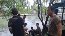 Polisi Bhabinkamtibmas Aipda Elly Ependi menolong remaja yang terseret arus Kali Sindang di Koja. (Posnews/Ist)