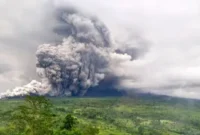 Awan panas guguran Gunung Semeru meluncur deras dari puncak menuju lereng selatan pada erupsi 19 November 2025. (Posnews/BPBD)