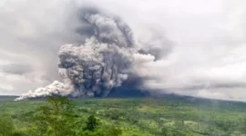 Awan panas guguran Gunung Semeru meluncur deras dari puncak menuju lereng selatan pada erupsi 19 November 2025. (Posnews/BPBD)