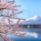 Foto, Gunung Fuji, salah satu destinasi favorit para turis di Jepang. Dok: Istimewa.