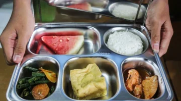 Ilustrasi, Hasil laboratorium resmi keluar: Bakteri E. coli di nasi menjadi penyebab keracunan 237 siswa program Makan Bergizi Gratis (MBG) di Bantul. Dok: Istimewa.