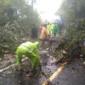 Tim SAR gabungan evakuasi pohon tumbang menutup jalan di Tapanuli Utara, Sumut. (Posnews/Ist)