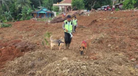 Anjing pelacak K9 Polri membantu tim SAR di area longsor Cilacap. (Posnews/Ist)