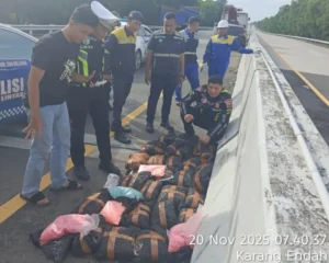 Barang bukti enam tas berisi ratusan ribu butir ekstasi diamankan polisi.