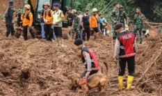 Update Tanah Longsor di Banjarnegara Tewaskan 2 Orang, 27 Warga Masih Hilang