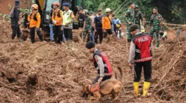 Tim SAR melakukan pencarian korban longsor. (Posnews/Ist)