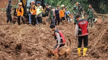 Tim SAR melakukan pencarian korban longsor. (Posnews/Ist)