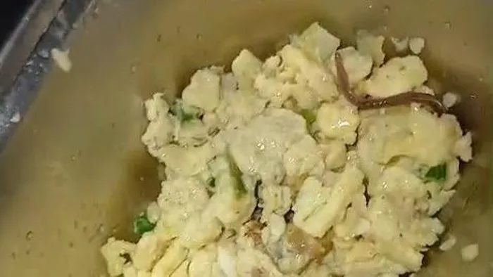 Cacing tanah terlihat di dalam nampan makanan bergizi gratis MBG di SMA Negeri 6 Medan. (Posnews/Ist)