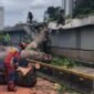 Pohon tumbang yang sebabkan jaringan MRT Jakarta terganggu.