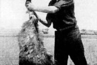 Pernah dengar tentara kalah lawan burung? Ini bukan fiksi. Simak sejarah konyol 