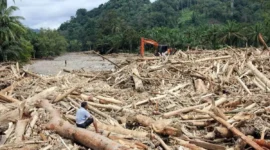 Gelondongan kayu menumpuk di Desa Garoga usai banjir bandang yang menghancurkan permukiman. (Posnews/Ist)