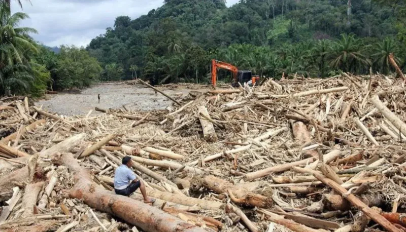 Gelondongan kayu menumpuk di Desa Garoga usai banjir bandang yang menghancurkan permukiman. (Posnews/Ist)