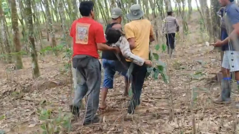 Kepala Desa Braja Asri tewas diinjak gajah liar saat menghalau kawanan gajah di Lampung Timur, Rabu 31 Desember 2025. (Posnews/Ist)
