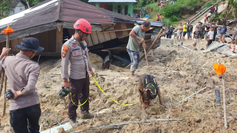 Tim SAR menyisir puing dan lumpur di lokasi banjir bandang Sumatera. (Posnews/Ist)