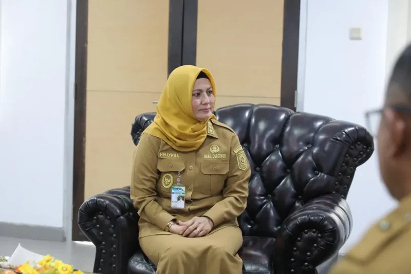 Wakil Gubernur Bangka Belitung Hellyana 