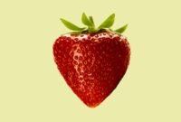 Siap-siap bingung! Fakta sains membuktikan pisang adalah beri, sedangkan stroberi justru bukan. Simak kekacauan klasifikasi botani yang mengubah pandanganmu tentang isi kulkas. Dok: Istimewa.