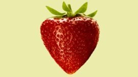 Siap-siap bingung! Fakta sains membuktikan pisang adalah beri, sedangkan stroberi justru bukan. Simak kekacauan klasifikasi botani yang mengubah pandanganmu tentang isi kulkas. Dok: Istimewa.