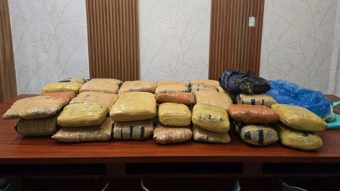 Polisi mengamankan 51 kg ganja dan menangkap tiga kurir di Labuhanbatu Utara. (Posnews/Ist)