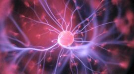 Ilustrasi, Mendefinisikan kemampuan mental. Perjalanan panjang tes intelegensi mengungkap ambisi para ilmuwan dalam mengukur kualitas pikiran manusia serta dampak sosial dari standarisasi kognitif yang kontroversial. Dok: Istimewa.