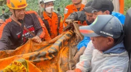 Petugas Basarnas mengevakuasi kantong body part korban longsor di Kampung Pasir Kuning, Cisarua, Bandung Barat, Jawa Barat. (Posnews/Ist)
